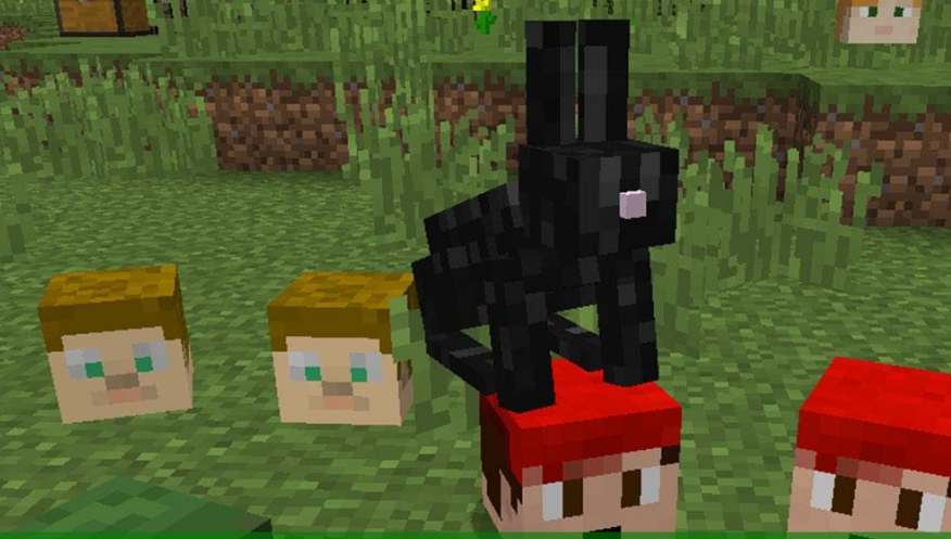 Minecraft Head Guy