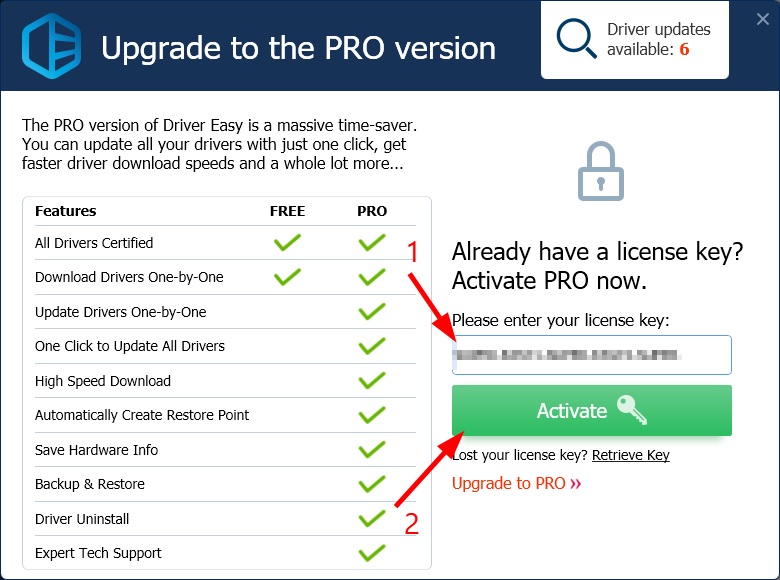 Driver Easy Pro License Key Free