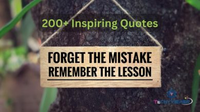 200+ Inspiring Quotes